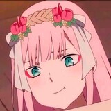 daisuki-zerotwo