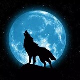 wolfpackqunlang