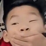 yunaozidongbule