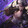 lingya-