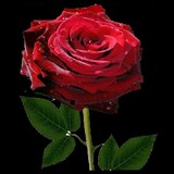 Khalid Khattak_6748