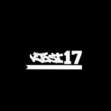 vjest17