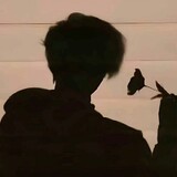 pinmingzhuangsha