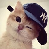 nafenqing_