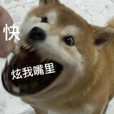tokikura_02_01
