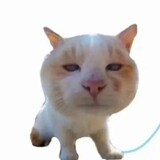 shihuifenchen