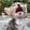 liulang___fuliyuan