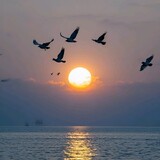 qingchenhaitian