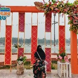 Tauhida