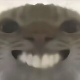 jojo11lxiaohao