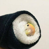 モトbangbangji