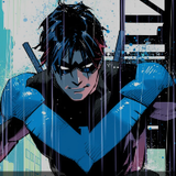 Nightwing991