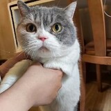 ______youluofeng