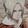 Annie.leonhart