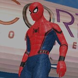 SpiderManMetaVerse