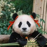 fugongzhudianxia