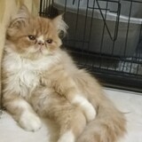 bili_1550867817