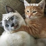 nikeyidangwodexinlaopoma