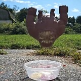 Vivo_0593