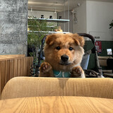 shidiandianya0719