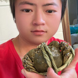xinghuawangyizhou