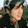 miaoyikoushizigua-