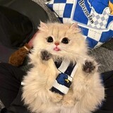 _____xingqiudonghua