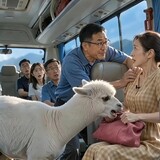 xiaomingalduanshipin