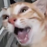 dalandongzitunyueqiu