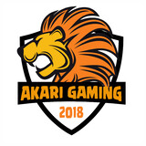 Akari Gaming