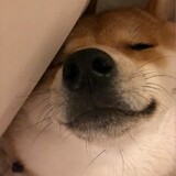 dreamerzhunanyi