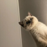 jinzishanzjx