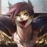 wojiaoxingrongci