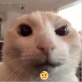 Animatopiea