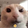 Animatopiea