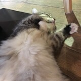 biancaan