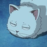 gujigujiグジ