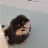 cuicuiyesuju___unina