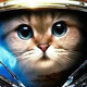 creator avatar