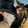 equusniuniumaji