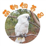 mengwusiyangyuan
