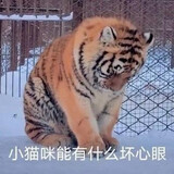 awoxiangchi