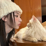 miaoerrr