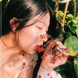 dapang_xiayu