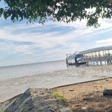 semua_film