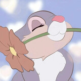 huahuawanwubloom