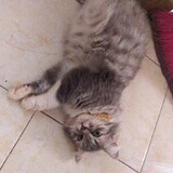 CZue