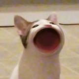 kokoko225