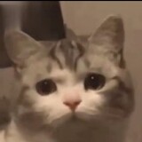 moyuhen12138