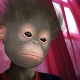 GabutNotononePiece
